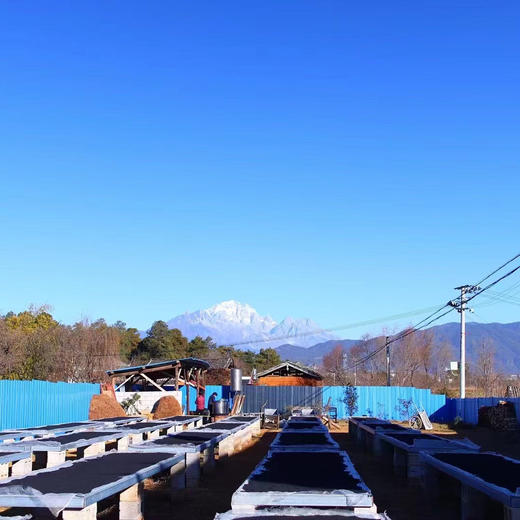 【九蒸九晒黑芝麻丸】历时至少18天九蒸九晒黑芝麻按古法制作 非烘干研磨粉 无添加任何廉价料 无任何添加剂 商品图11