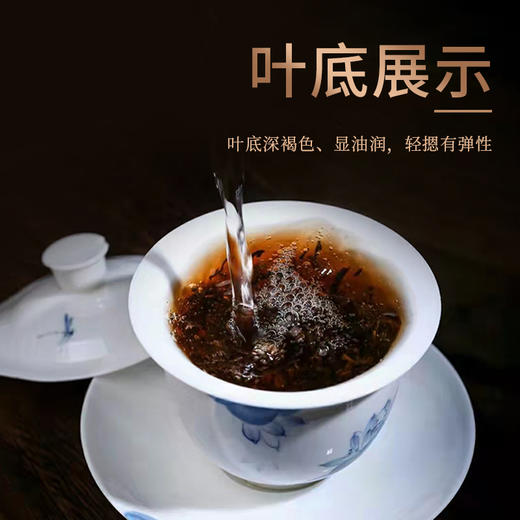 茶马世家10年陈易武刮风寨普洱茶  远桥熟茶357g 商品图2