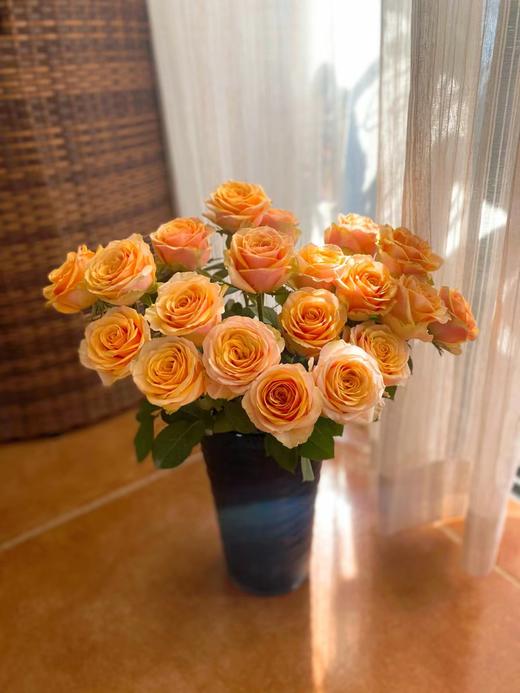 【周四秒杀】迪威娜玫瑰15支49.8元 商品图0