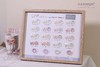【秒杀价】仙女极光&贝壳色20色套装 商品缩略图1