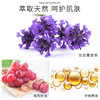 薰衣草油护肤全身刮痧按摩精油 商品缩略图1