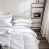 酒店严选 | 羽丝绒 被芯 商品缩略图4