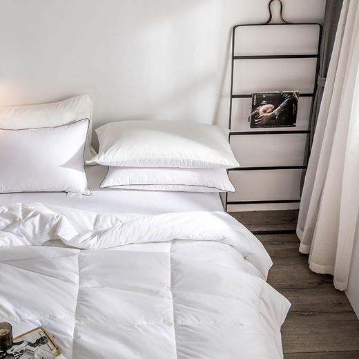 酒店严选 | 羽丝绒 被芯 商品图4