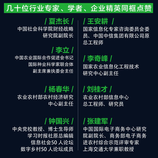 官方正版 数智驱动乡村振兴 乡村产业数智化转型路径乡村数智化治理模式 乡村振兴产业重构治理 数智化促进乡村振兴发展 张建锋 商品图2