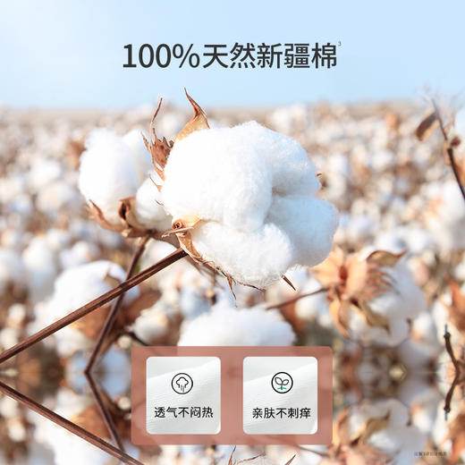 【一次性内裤】准孕期月子期经期可用 独立包装方便卫生 纯绵抑菌 差旅必备 纯绵一次性内裤2盒装（4条/盒） 商品图2