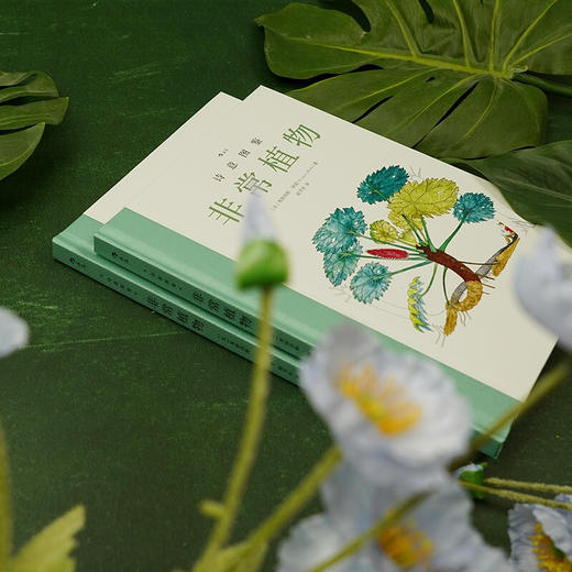 诗意图鉴 非常植物 弗朗西斯·阿雷 著 常植物 科普绘本自然图鉴热带雨林环保艺术大众书籍 商品图2