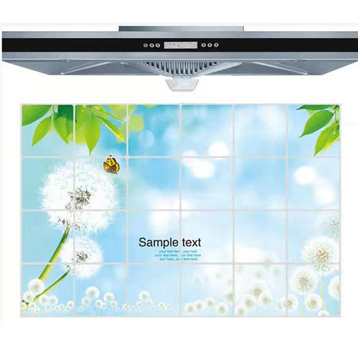 【6.9元/个】亿都油烟贴60*90（1113386） 商品图0