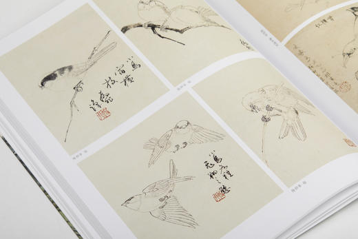 【签名钤印本&组合&单本】大师课堂·陆抑非花鸟技法图解 定价68元&大师课堂5本&2本&3本组合 商品图12