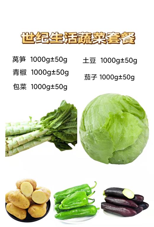 世纪生活蔬菜套餐【BC】【HY】 商品图0