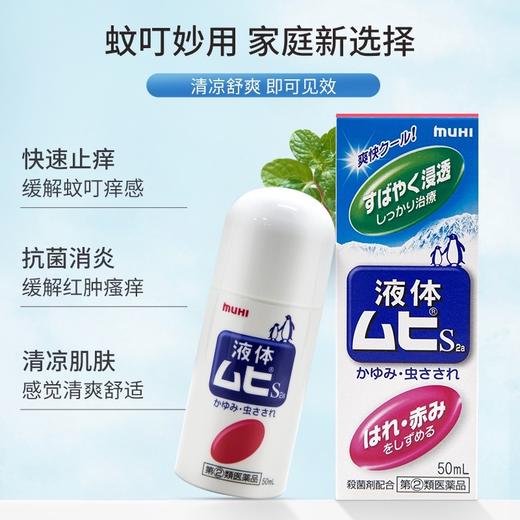 年年离不开～日本版 商品图3