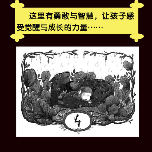 雨林秘境(套装共3册) 商品图4
