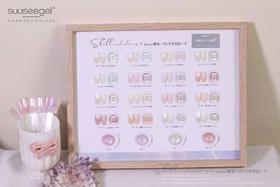 【秒杀价】仙女极光&贝壳色20色套装