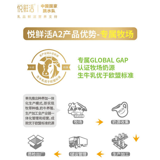 【顺丰包邮】悦鲜活新鲜牛奶260ml*7瓶（A2β型）+260ml*3瓶（普装）共10瓶 低温 君乐宝 生牛乳配送早餐奶 珍惜A2-酪蛋白牛奶 亲和好吸收 商品图2