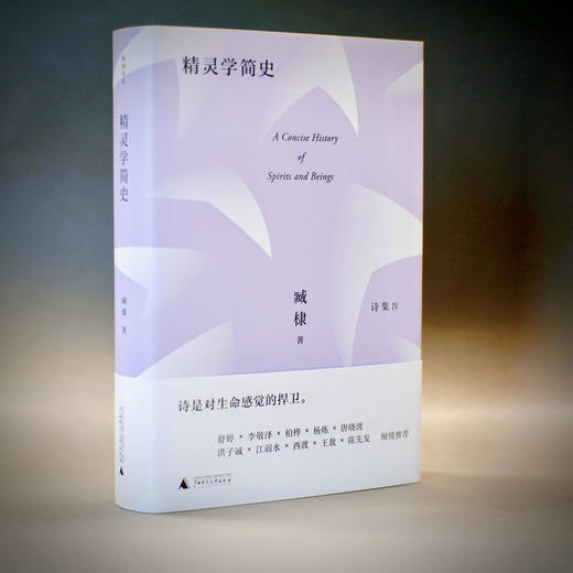 【“云端书展”专区】精灵学简史   臧棣/著     商品图1