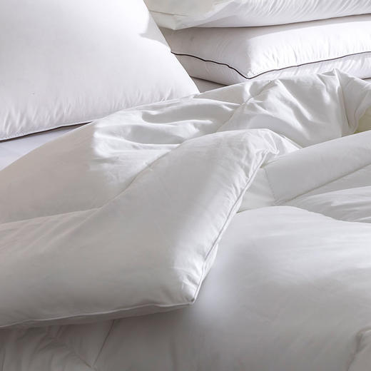 酒店严选 | 羽丝绒 被芯 商品图2