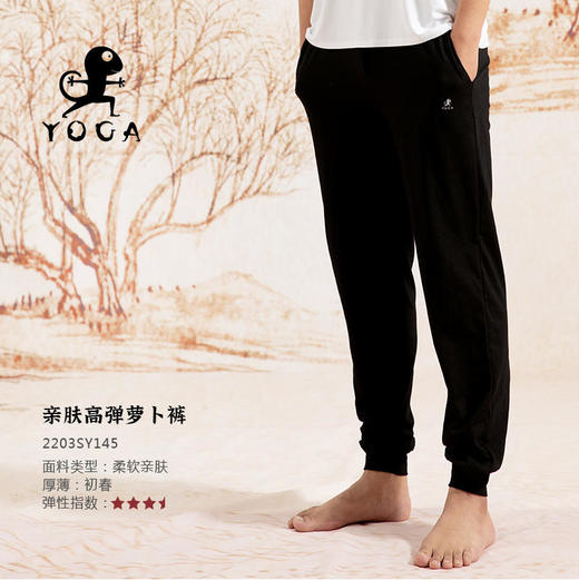 壁虎瑜伽【2203KZ145】亲肤高弹萝卜裤【七十二小时发货】 商品图0