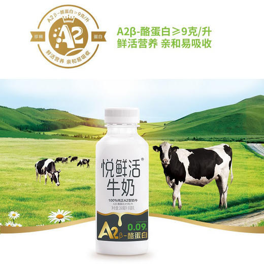 【顺丰包邮】悦鲜活新鲜牛奶260ml*7瓶（A2β型）+260ml*3瓶（普装）共10瓶 低温 君乐宝 生牛乳配送早餐奶 珍惜A2-酪蛋白牛奶 亲和好吸收 商品图0