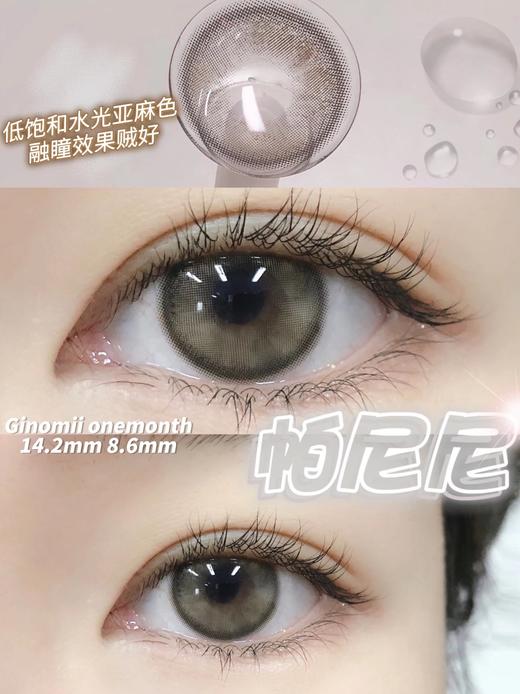 Ginomii 帕尼尼 月抛 2片 14.2mm 着色13.4mm 基弧8.6 含水38%  韩国进口 商品图0