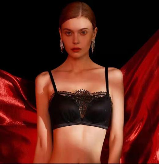 安莉芳蕾丝薄款五角杯防走光无钢圈抹胸式文胸EB00431 商品图0