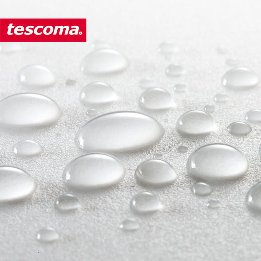 捷克进口/tescoma PRECIOSO系列双面塑料 纳米有效抗菌家用辅食菜板 商品图5