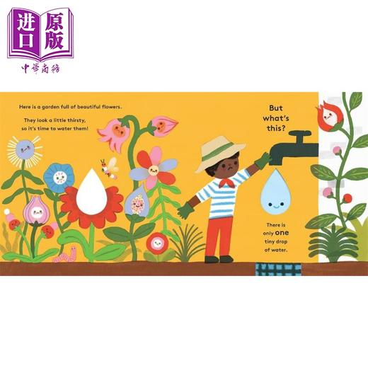 【中商原版】Little Life Cycles: Drip生命周期：小雨滴 英文原版 进口童书 儿童绘本 水循环 百科知识图画书 纸板书 2-5岁 商品图3