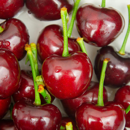 【顺丰包邮】大连美早樱桃  2J/3J/4J 1.8斤/2.8斤 商品图2