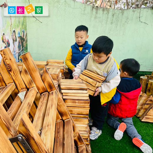 安吉游戏炭烧积木组 商品图1