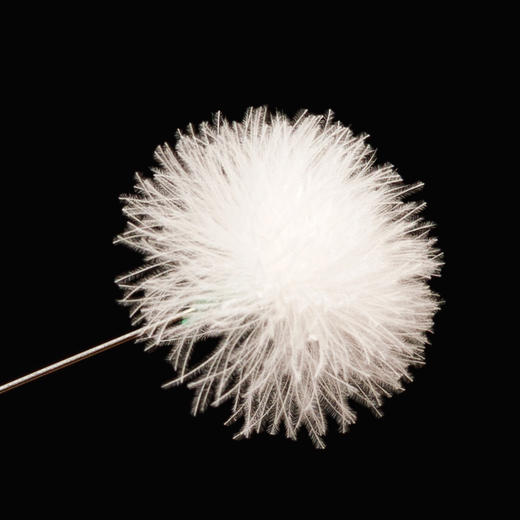 采耳工具鹅毛棒银针打耳朵毛毛 商品图2