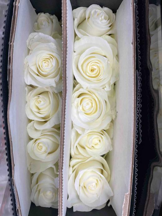 【昆明玫瑰】骄傲  20支/扎  A级 商品图6