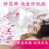 瑰花瓣泡澡泡脚干玫瑰花瓣美白洗澡玫瑰花瓣送牛奶浴 商品缩略图1