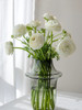 单支白色洋牡丹（所有单支花材100块钱起卖不含包装花瓶） 商品缩略图0