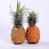 海南树上熟金钻凤梨彩箱 削皮即食 香味浓郁 商品缩略图4