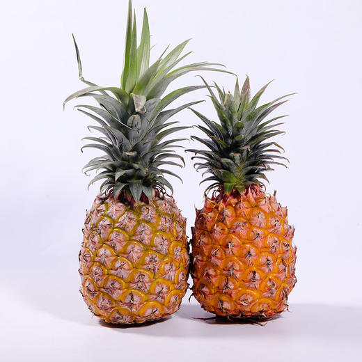 海南树上熟金钻凤梨彩箱 削皮即食 香味浓郁 商品图4