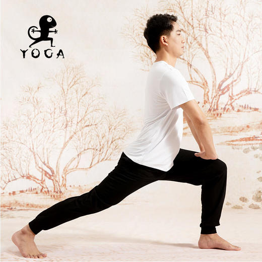 壁虎瑜伽【2203KZ145】亲肤高弹萝卜裤【七十二小时发货】 商品图5