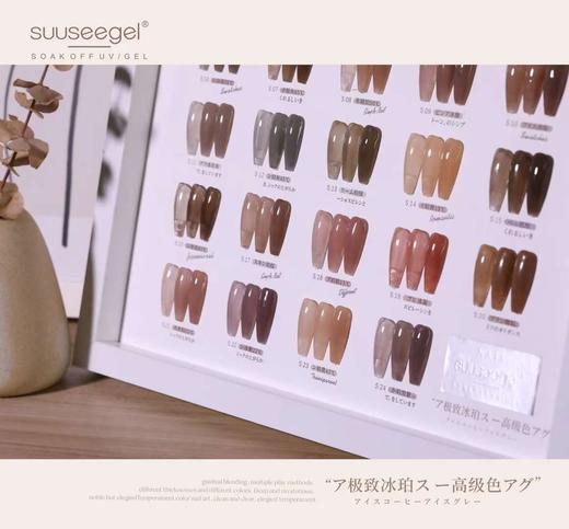 【秒杀价】极致冰珀色24色套装 商品图3