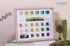 .【秒杀价】BV绿24色套装