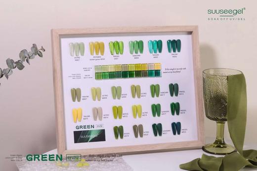 .【秒杀价】BV绿24色套装 商品图0