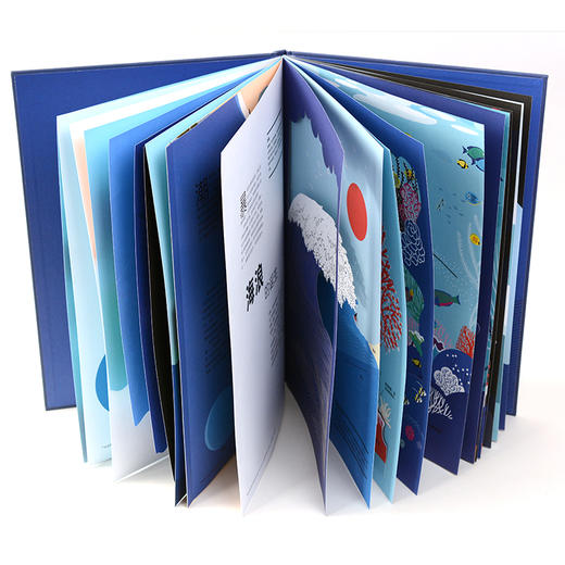 【奇想国】海洋的奥秘：在缤纷纸艺和灵动美绘中畅游奇幻海洋世界 商品图5