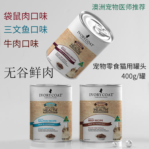 12大罐子量贩装 | 艾瑞蔻猫罐头400g*12 商品图2