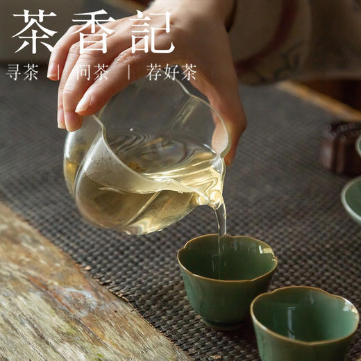 茶香记 蜜兰白毫银针014 福鼎白茶 高山茶 传统工艺 如兰似蜜 甜醇温润 商品图5