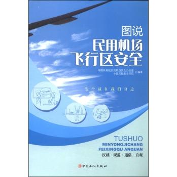 图说民用机场飞行区安全 商品图0