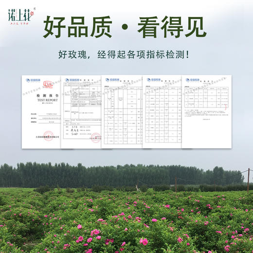 诺上花玫瑰花茶低温烘干平阴玫瑰茶瓶装玫瑰花冠花冠茶 商品图4