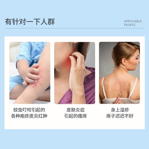 年年离不开～日本版 商品图5