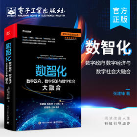 官方正版 数智化：数字政府、数字经济与数字社会大融合 数智化转型 数智化理论实践数智化技术方法特征指引 产业互联网书籍 