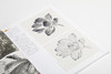 【签名钤印本&组合&单本】大师课堂·陆抑非花鸟技法图解 定价68元&大师课堂5本&2本&3本组合 商品缩略图14