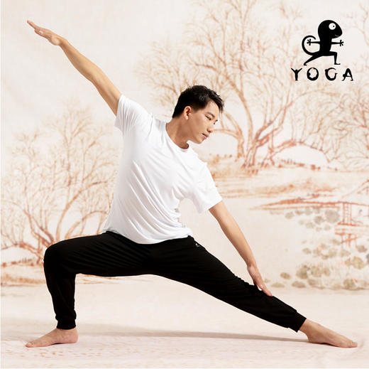 壁虎瑜伽【2203KZ145】亲肤高弹萝卜裤【七十二小时发货】 商品图6