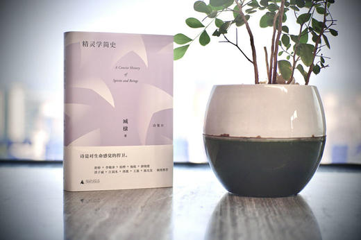 【“云端书展”专区】精灵学简史   臧棣/著     商品图2