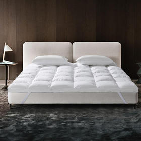 【赠品】酒店严选 | 床护纤维舒适垫