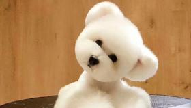 芳香疗法第一课