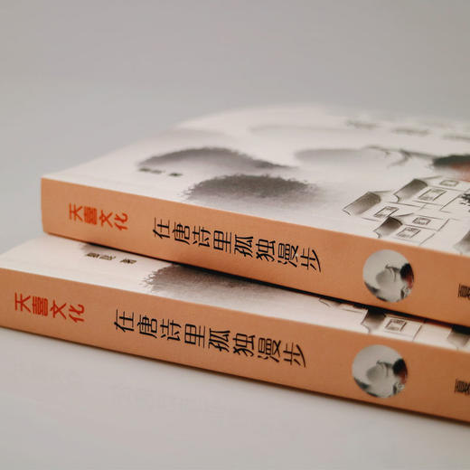 在唐诗里孤独漫步 商品图2